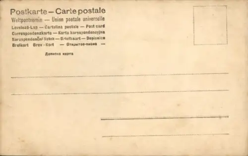 Ak Portrait eines Jagdhundes