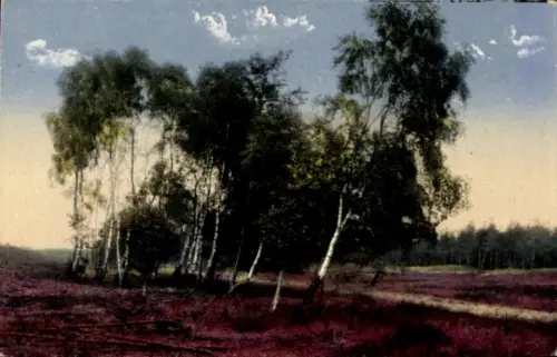Künstler Ak Heidelandschaft, Birken