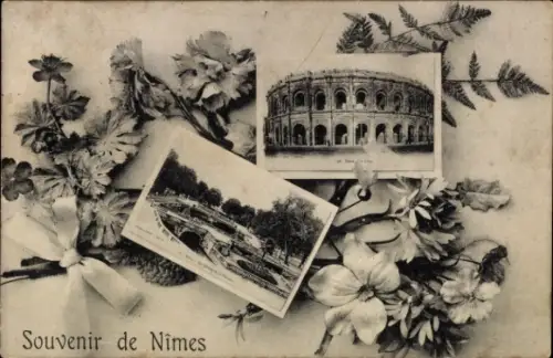 Ak Nîmes Gard, Arena, Parkanlagen