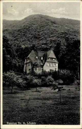 Ak Moselkern an der Mosel, Pension Dr. A. Lönarz, Haus im Wald, ruhige Lage, Natur