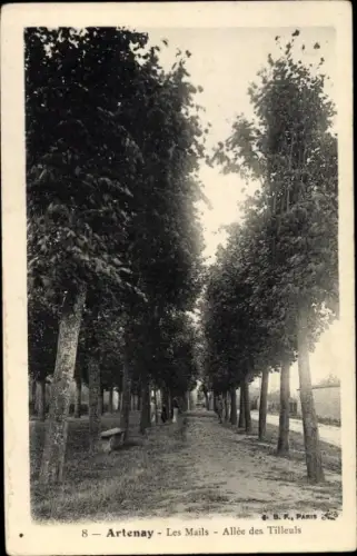 Ak Artenay Loiret, Les Mails, Allee des Tilleuls