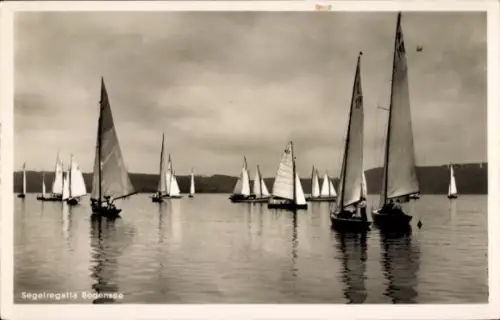 Ak Bodensee, Segelregatta