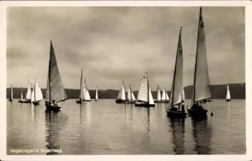 Ak Bodensee, Segelregatta