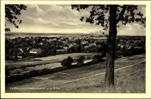 Ak Geesthacht an der Elbe, Landschaft mit Häusern, Elbe im Hintergrund, Bäume, Schwarz-Weiß-Foto