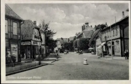 Ak Soltau Lüneburger Heide Niedersachsen, Soltau (Lüneburger Heide), Straßenansicht, Häuser, Bäum
