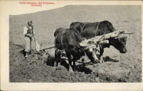 Ak Bolivien, Indio labrador del Altiplano