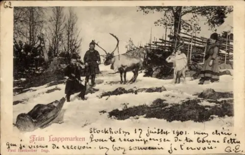 Ak Lappmarken, Rentiere