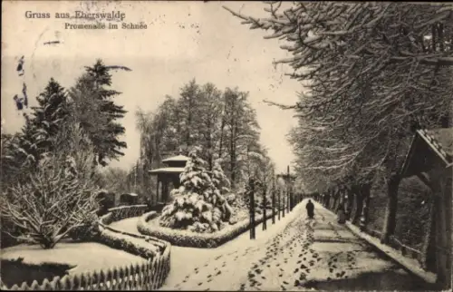 Ak Eberswalde in der Mark, Schneebedeckte Promenade, Bäume, Person im Schnee