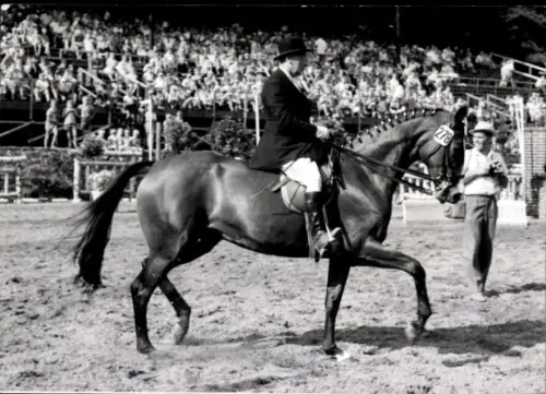 Foto Ak Dressurreiten, Reiter, Zuschauer