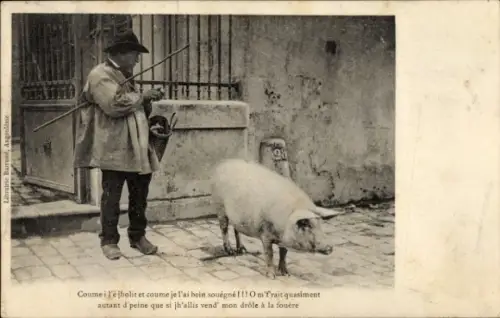 Ak Mann mit einem Schwein, Trüffelsuche