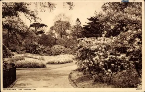 Ak Nottingham East Midlands England,  Arboretum, Blumen, Bäume, Park