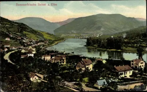 Ak Dolní Zálezly Salesel an der Elbe Region Aussig, Gesamtansicht