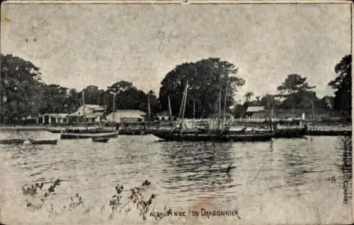 Ak Conakry Guinea, Anse du Dragonnier, Drachenbaumbucht