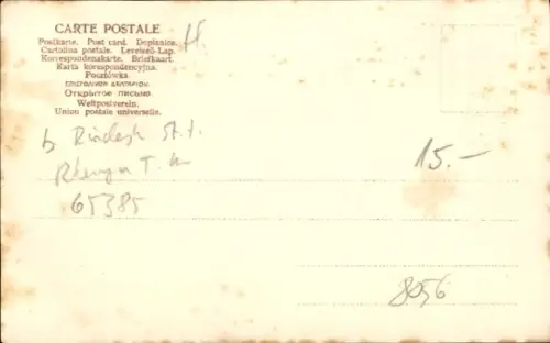 Ak Assmannshausen Rüdesheim am Rhein, Gesamtansicht, Hotel Rheinstein