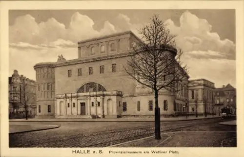 Ak Halle an der Saale, Provinzialmuseum am Wettiner Platz,  Baum, Straße
