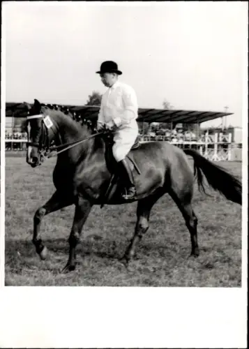 Foto Ak Dressurreiten, Pferd