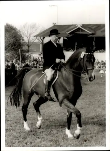 Foto Dressurreiten, Pferd