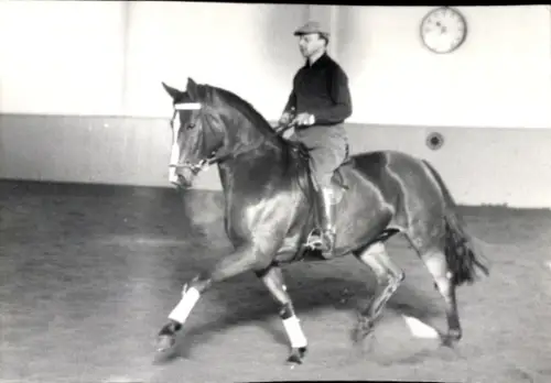 Foto Ak Dressurreiten, Pferd