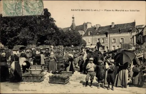 CPA Sainte Maure de Touraine Indre et Loire, Place du Marché aux Volailles
