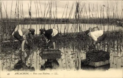 CPA Arcachon Gironde, Parc aux Huitres