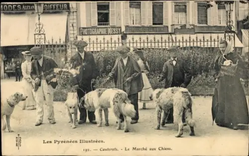 CPA Cauterets Hautes-Pyrénées, Le Marché aux Chiens