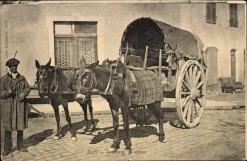 CPA Dax Landes, Attelage du Mules