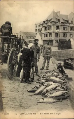CPA Concarneau Finistère, Les thons sur la digue