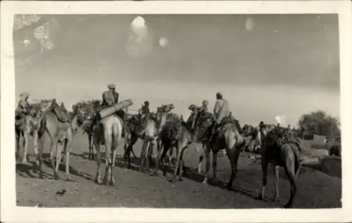 Ak Tschad, Kamele, Kamelreiter