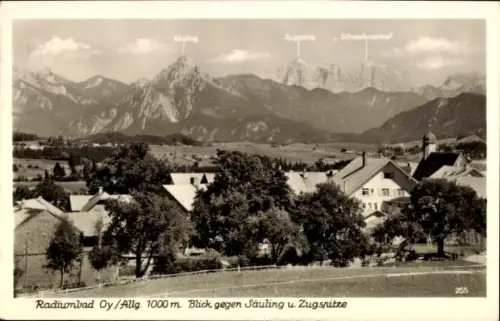 Ak Oy Mittelberg im Allgäu, Gesamtansicht, Säuling, Zugspitze