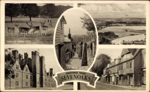 Ak Sevenoaks Kent England, Rehe im Knole Park, Blick von Polhill, Six Bells Lane, Top of the Hill