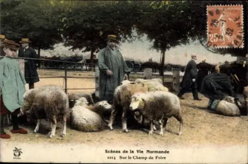 Ak Calvados, Scenes de la Vie Normande, sur le Champ de Foire, Viehmarkt, Schafe
