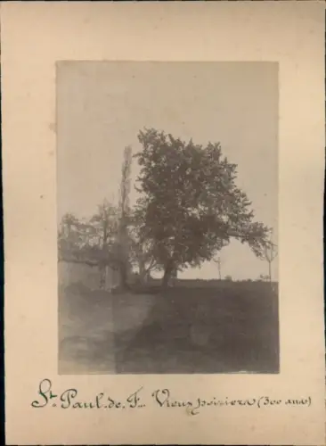 Foto Saint Paul de Fourques Eure, Baum, Zwei Frauen