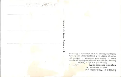 Ak Hagnau am Bodensee, Pension und Weinstube Guter Tropfen, Schweizer Alpen