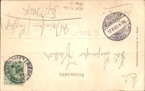 Passepartout Ak Friedrichshafen am Bodensee, Teilansicht vom Wasser aus, Flagge