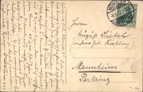 Ak Münster in Westfalen, Drubbel, Giebelhäuser, Geschäfte