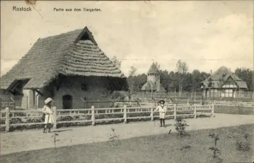 Ak Hansestadt Rostock, Tiergarten