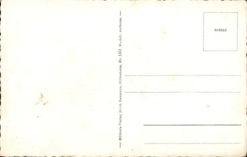 Ak Münchehof Seesen am Harz, Gesamtansicht