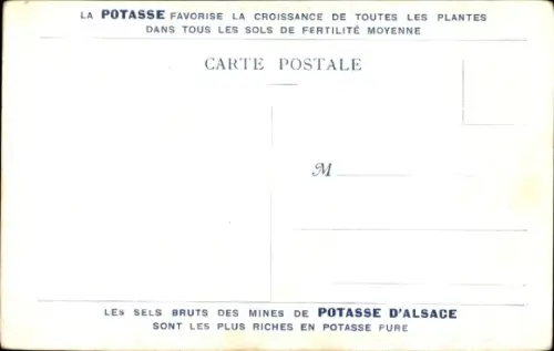 Ak Wittelsheim Elsass Haut Rhin, De Elzassische Potaschmijnen, Kalimine