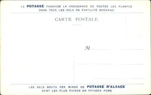 Ak Elsass, Die Kalibergwerke, Au Fond de la Mine, Galerie principale