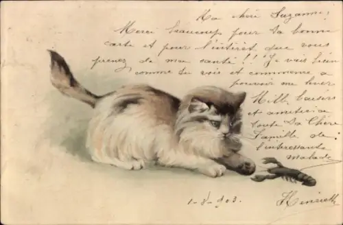 Künstler Ak Katze mit Hummer, Portrait