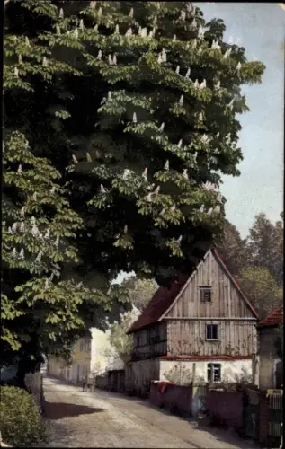 Ak Nenke & Ostermaier Serie 99 Nr. 2179, Baumblüte, Kastanienblüte in Diesbar