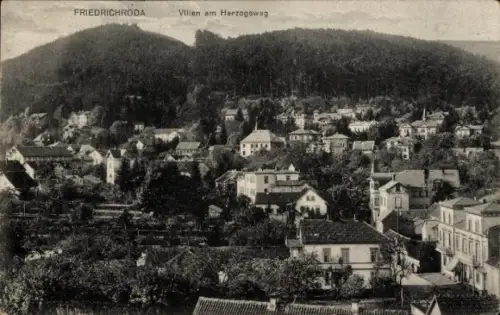 Ak Friedrichroda im Thüringer Wald,  Villen am Herzogsweg, Landschaft mit Bäumen und Häusern
