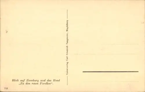 Ak Ilsenburg im Harz, Schwarzwaldlandschaft,  Hotel "Zu den roten Forellen", ruhiger See