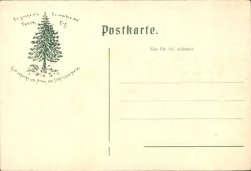 Ak Thale im Harz, Hotel Rosstrappe, Homburgklippen, Felsen, Porträt