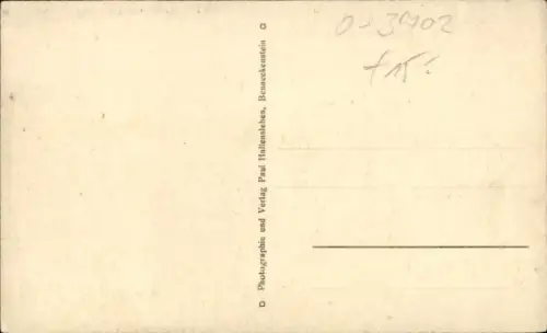 Ak Benneckenstein im Harz, Gesamtansicht