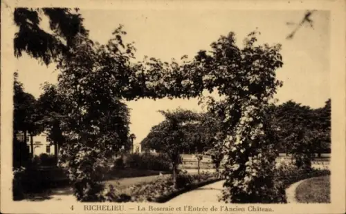 Ak Richelieu Indre et Loire, Rosengarten, Eingang zum alten Schloss, Pflanzen, Bäume