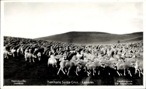 Ak Territorio Santa Cruz, Lanares