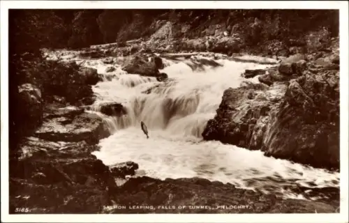 Ak Pitlochry Schottland, Springender Lachs, Wasserfall, Tummel, Pitlochry