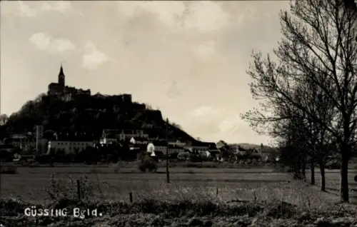 Ak Güssing im Burgenland, Burg  Stadtansicht, Bäume im Vordergrund
