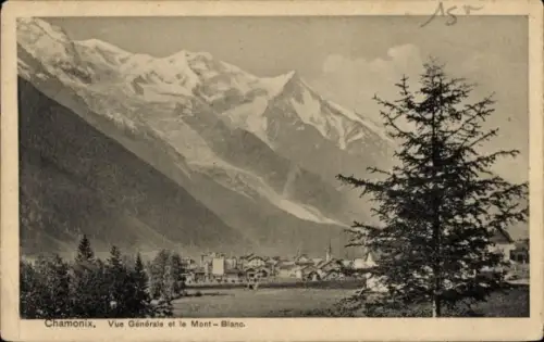 Ak Chamonix Mont Blanc Haute Savoie,  Mont-Blanc, Berge, Baum, 